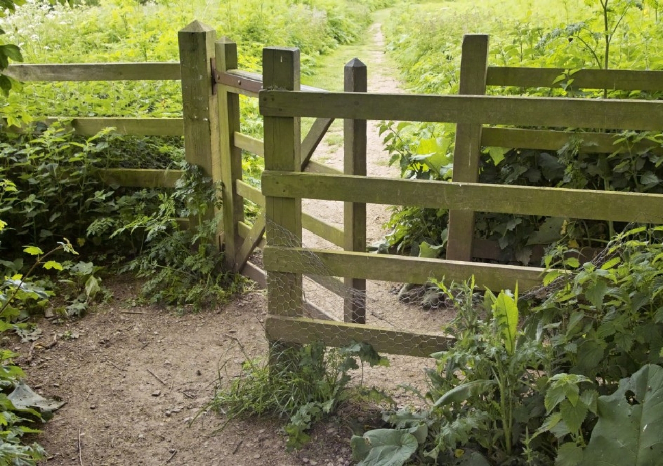 Healthy Boundaries: Here's Why They Are So Important