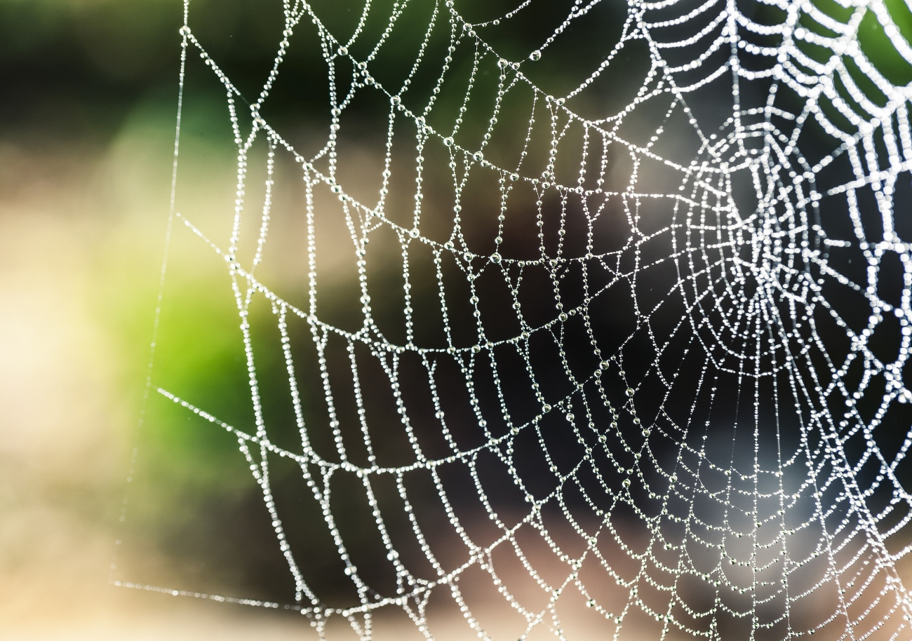 The Trap of Comparison With Others